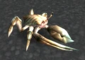Young Reef Crawler.jpg
