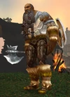 Winterskorn Warrior