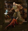 Winterskorn Skald.jpg