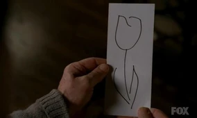 2x18-white-tulip