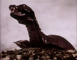 300px-Skarasen