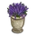 Floral Pot-icon