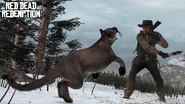 Mountain lion