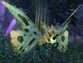 Vale Moth.jpg