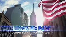 255px-CSI Ny.jpg