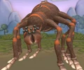 Baboonspider