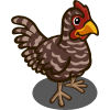 File:Scots Grey Chicken-icon.png