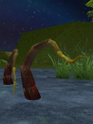 Slithayr Tendril Live