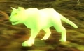 Winna's Kitten.jpg