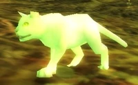 Image of Winna's Kitten