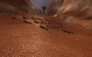 Thousand Needles gravesite