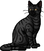 Die WindClan-Chroniken Darkstripe.warrior