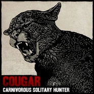 Wildlife cougar