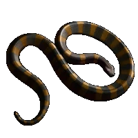 Huge item bandedkrait 01.gif