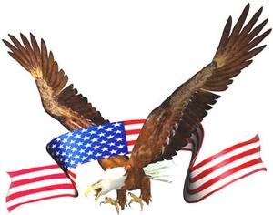 Eagle patriot.jpg