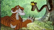 Junglebook508