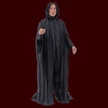 Figurine Rogue HP7.jpg