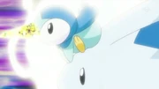 EP646 Combinación de Piplup y Togekiss(2)