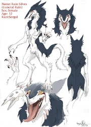 Rain Character Sheet