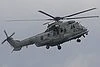 100px-Caracal2552