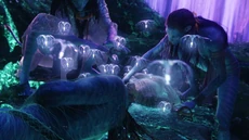 Avatar-avatar-12322129-1280-720