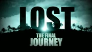 The Final Journey.jpg