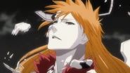 Ichigobreaksfree