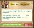 Lost dog 2