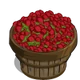 Raspberry Bushel-icon