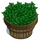 Green Tea Bushel-icon
