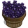 Lavender Bushel-icon