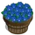 Morning Glory Bushel-icon