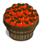 Tomato Bushel-icon