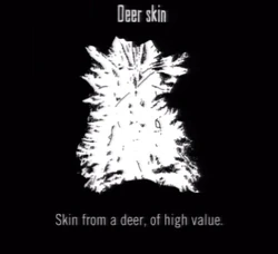 Animals Deer Skin