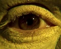 Borg eye.jpg