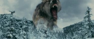 Wolf-attacking