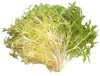 Frise
