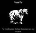 Animals Brumas Fur.jpg