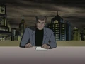 Snapper Carr DCAU 01