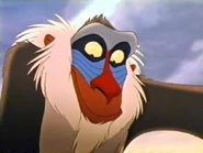 Rafiki3