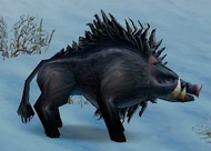 Crag Boar.jpg