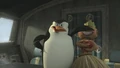 Madagascar2cap2.jpg