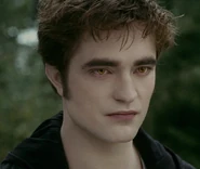 Edward 01