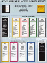 CodexOrganisation