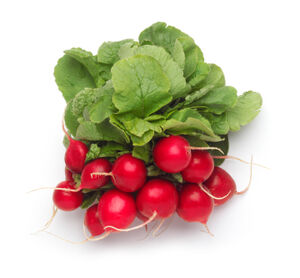 Red radish
