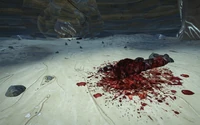 FOV101 craw 4.jpg