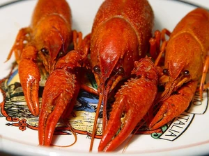 File-BoiledCrawdads.jpeg