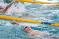 Blackman 20100306 0796.jpg