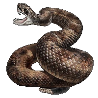 Huge item HopiRattlesnake 01.gif