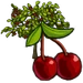 Cherry Tree-icon.png